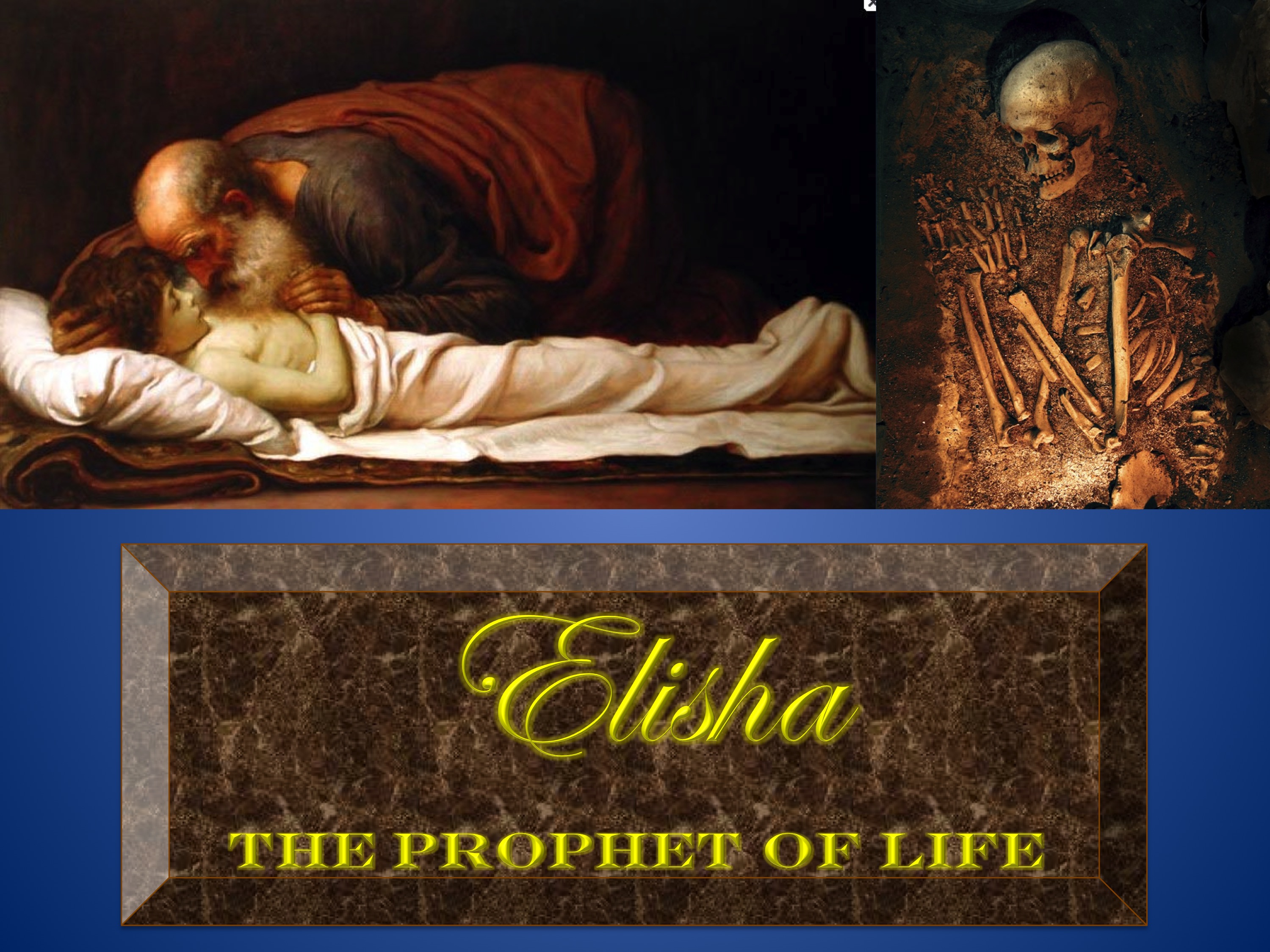 Elisha.jpg